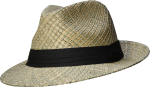 654632 - Trilby Seagrass - Kahki